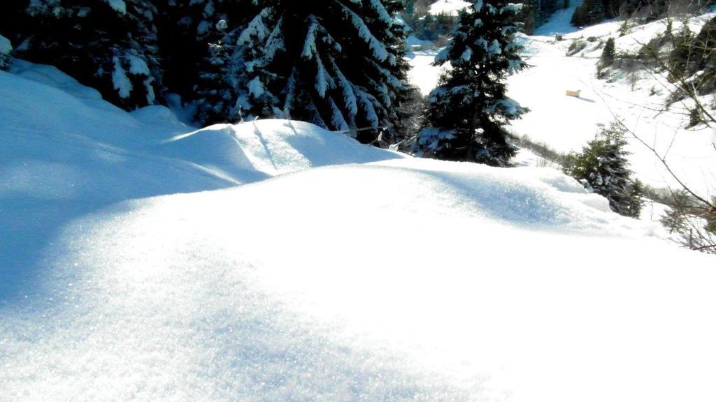 Luenerhof Vendégház Neustift im Stubaital Kültér fotó